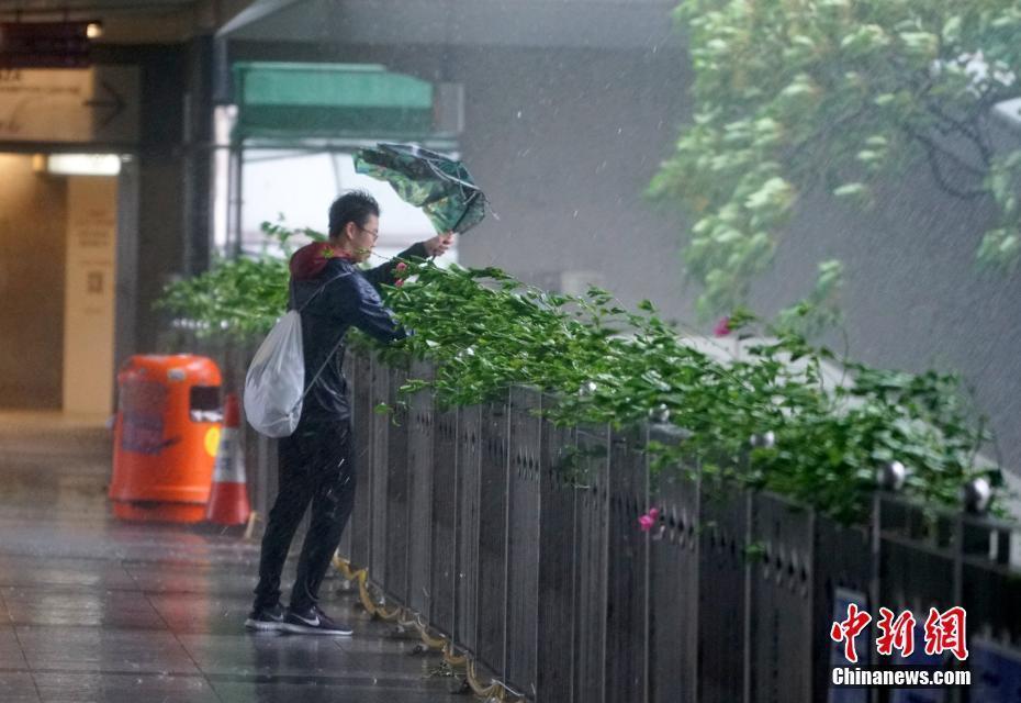 香港受到“山竹”襲擊 樹(shù)木倒塌海陸空幾乎停頓