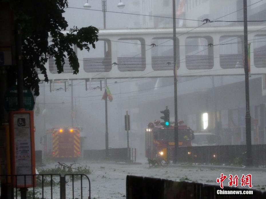 香港受到“山竹”襲擊 樹木倒塌海陸空幾乎停頓