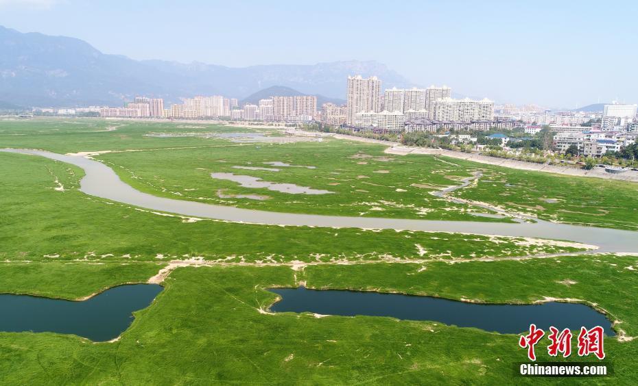 中國(guó)最大淡水湖鄱陽(yáng)湖水位下降 變身“大草原”