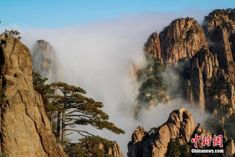 秋日黃山云海裊繞 層林盡染秋色醉人