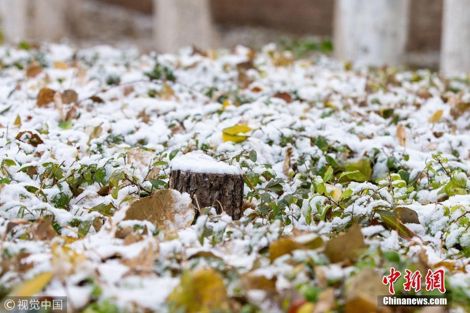 長春迎降雪天氣 城市披銀裝