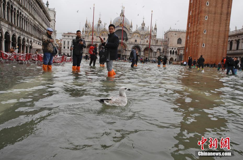 威尼斯暴雨致市區(qū)被淹 游客“泡水”吃冰淇淋