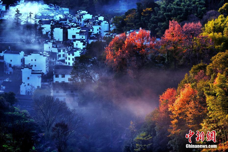 婺源古村 冬日山居“楓”景如畫