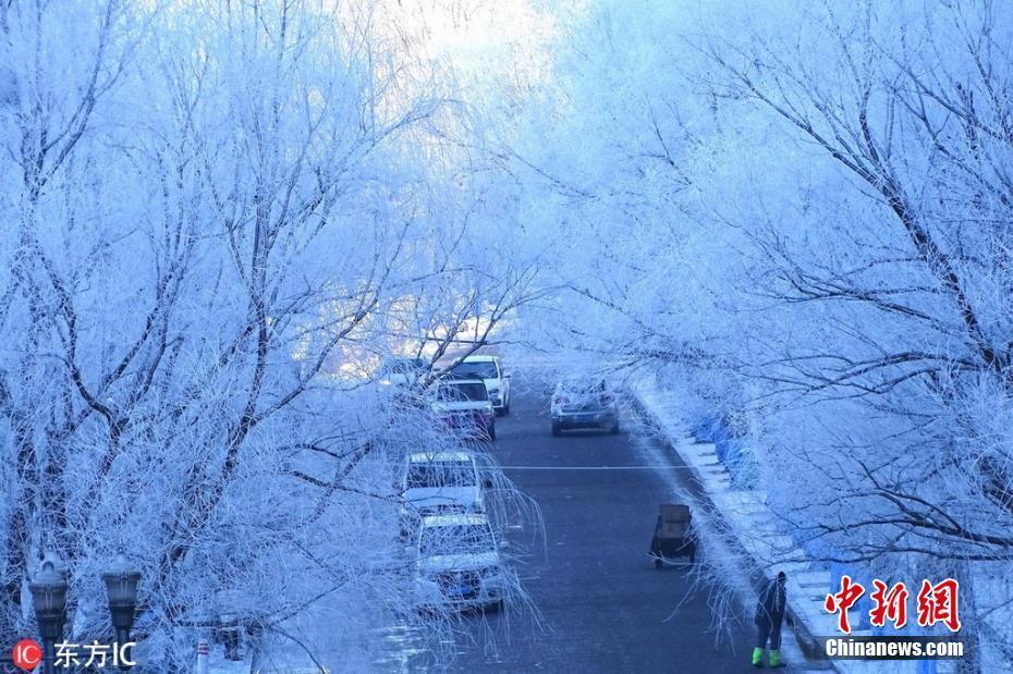 哈爾濱松花江畔新年首迎霧凇景觀 玉樹瓊枝美輪美奐