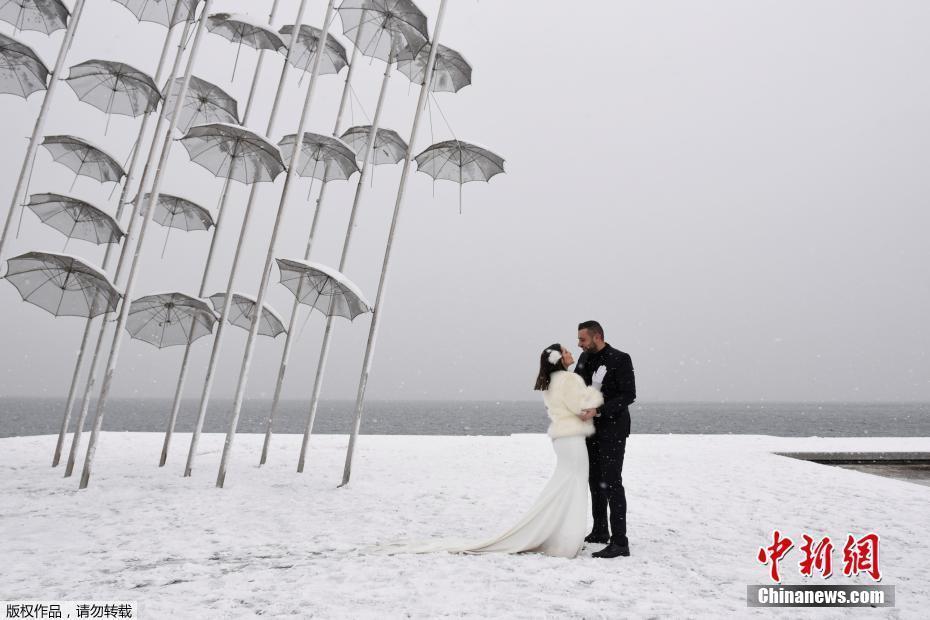 歐洲這場雪有多大 指路牌變“奶油雪糕”