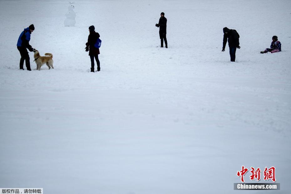 遭大規(guī)模暴風(fēng)雪席卷 美國(guó)華盛頓一片白雪皚皚