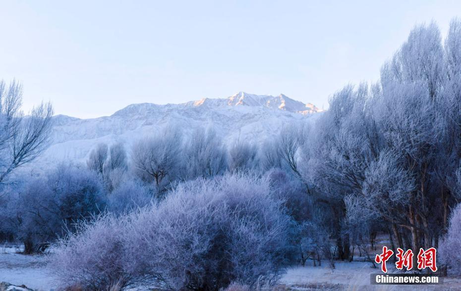 甘肅肅北雪后霧凇晶瑩剔透如童話世界