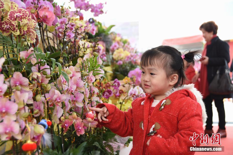 廣西迎春花市熱鬧開張 千種鮮花添年味