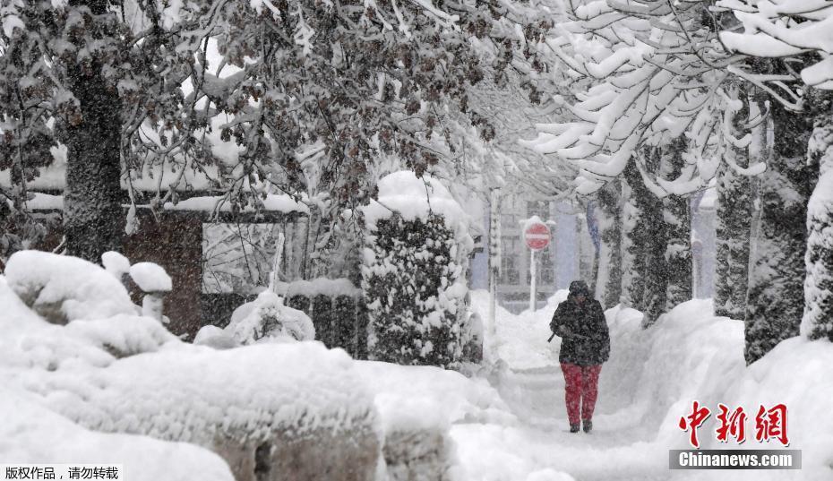 強降雪襲擊德國南部 宛如冰雪世界