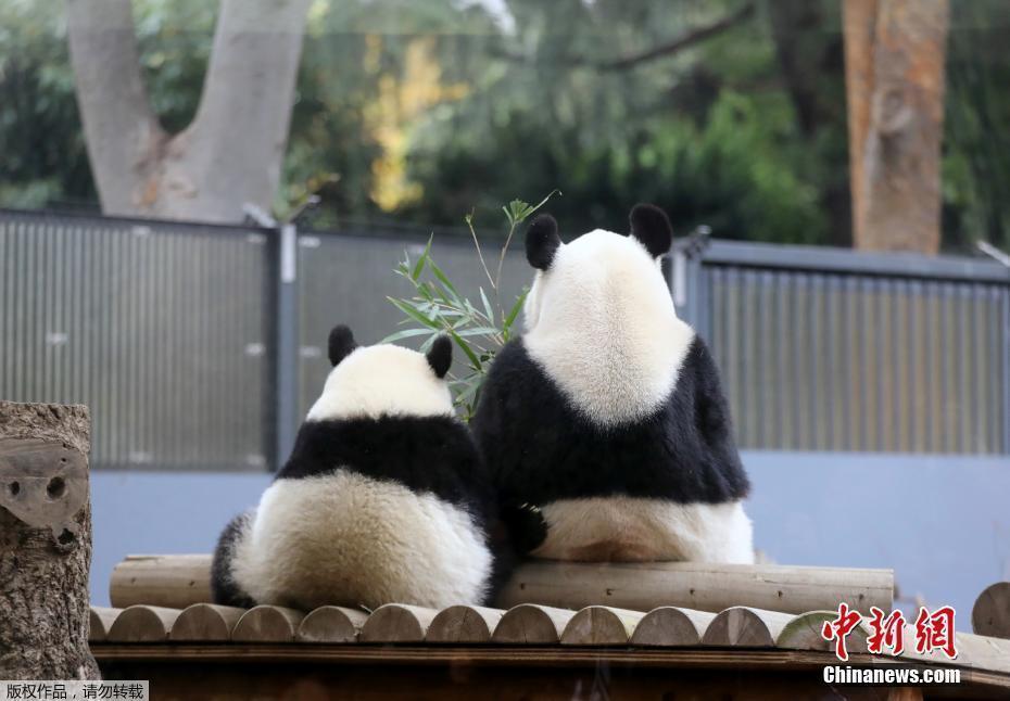 【圖刊】世上只有媽媽好