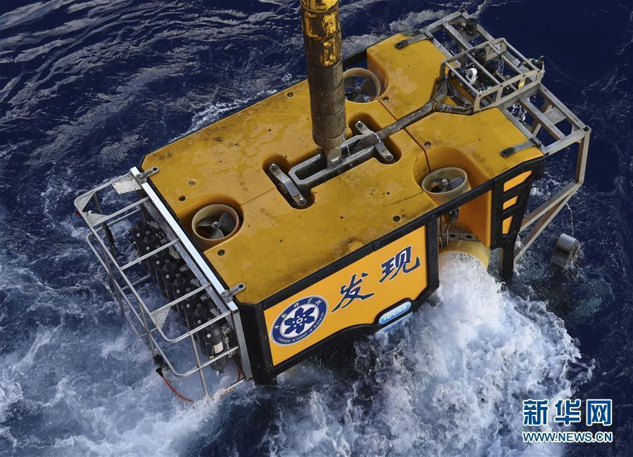 “科學”號在西太平洋采集到稀有深水海兔