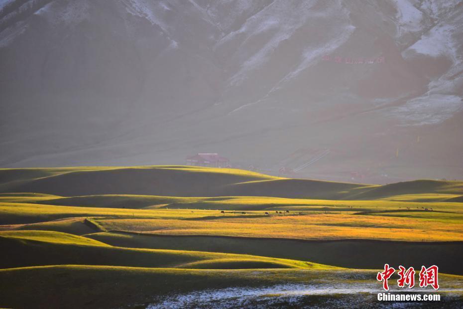 祁連山夏日風(fēng)光旖旎如詩(shī)似畫