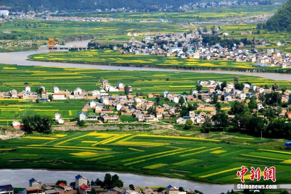 甘肅中部鄉(xiāng)村盛夏時節(jié)盡顯西北田園風(fēng)