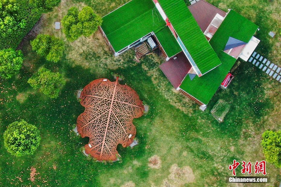 走近南京濱江新岸線 落日余暉顯獨特“氣質(zhì)”