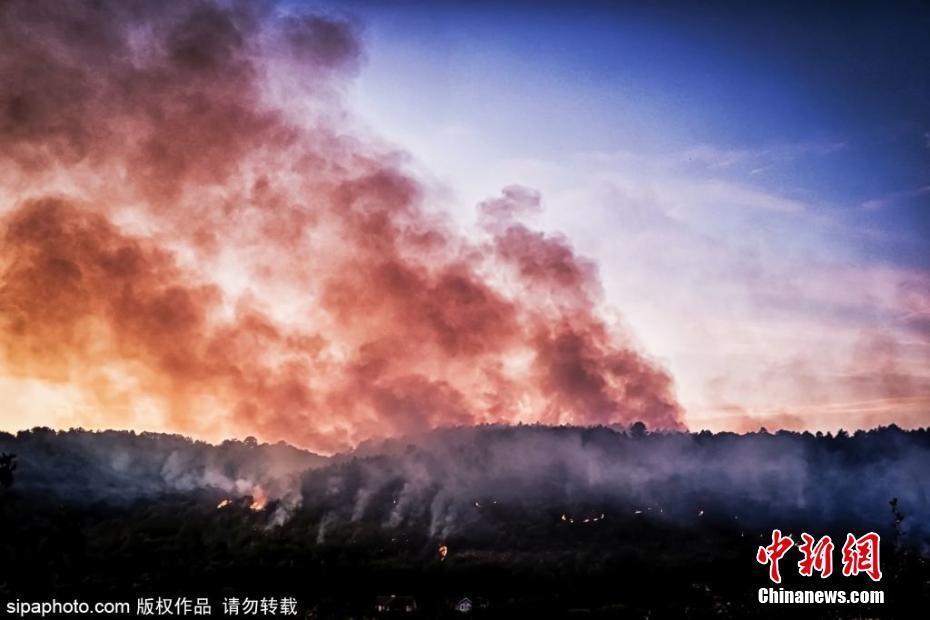 法國第戎發(fā)生森林火災(zāi) 現(xiàn)場濃煙滾滾