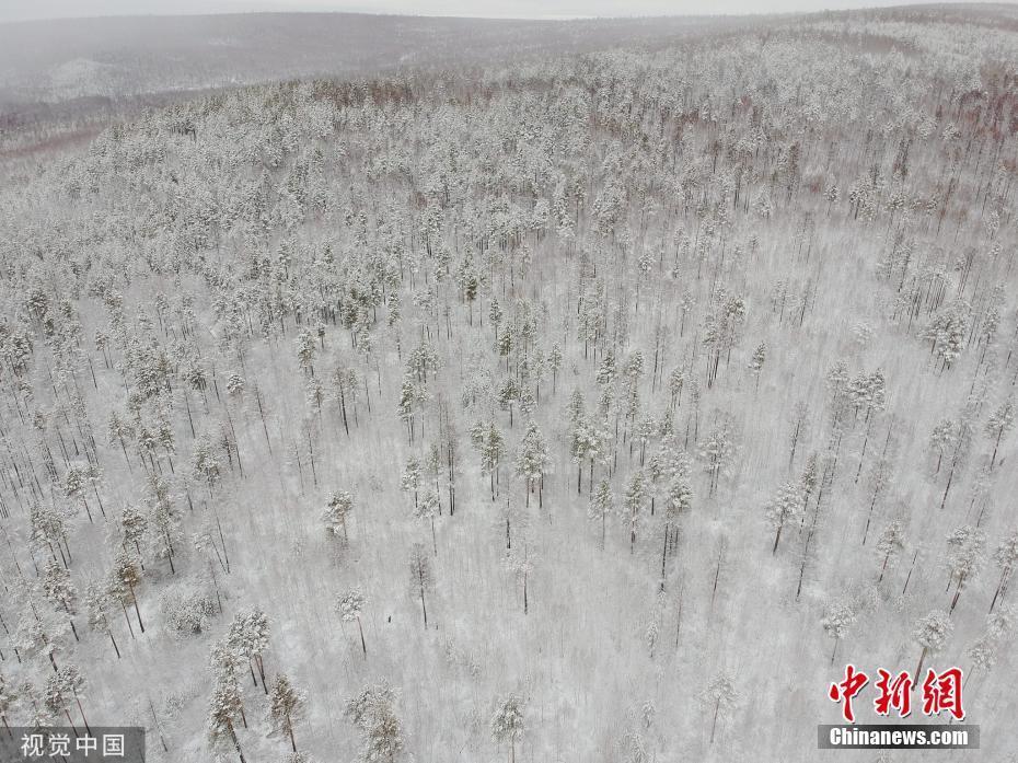 黑龍江漠河迎降雪 大地銀裝素裹如畫卷