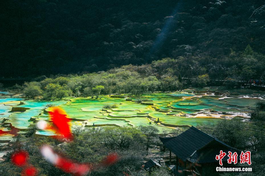 【圖刊】這組圖片告訴你這個(gè)秋天有多美