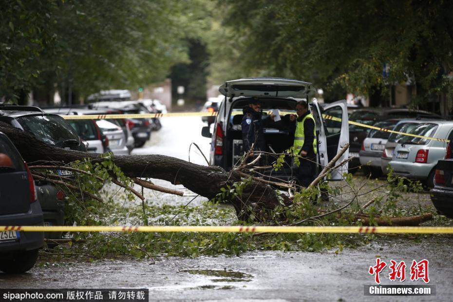 意大利羅馬遭遇暴雨 樹(shù)木被連根拔起砸中汽車