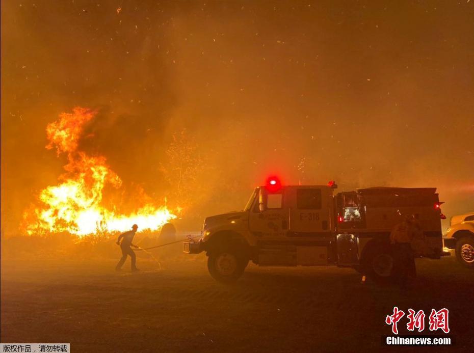 美國加州一森林公園野火蔓延 火光照亮夜空