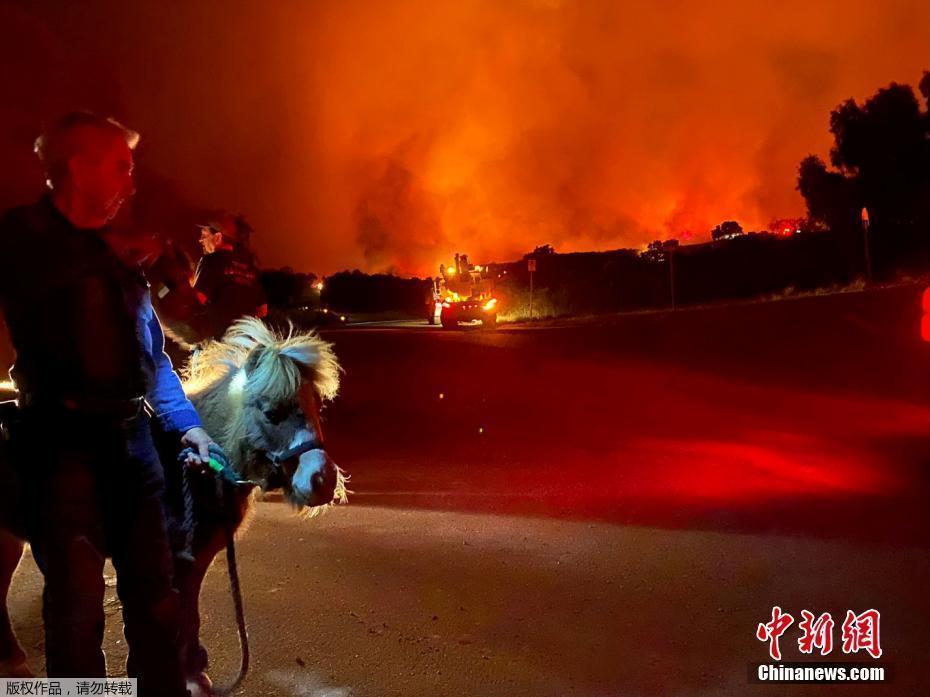 美國(guó)加州一森林公園野火蔓延 火光照亮夜空