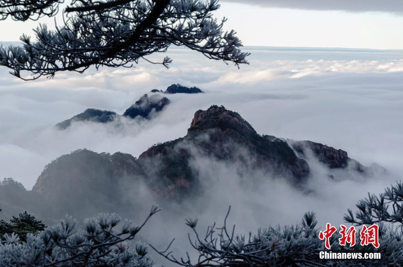 安徽黃山風景區(qū)迎今冬首場降雪