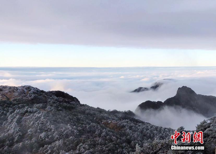 安徽黃山風景區(qū)迎今冬首場降雪