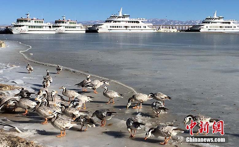 青海湖冰封玉砌 宛如仙境