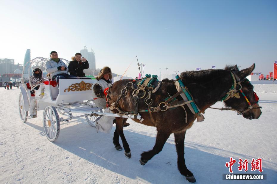 中外游客樂游哈爾濱松花江冰雪嘉年華