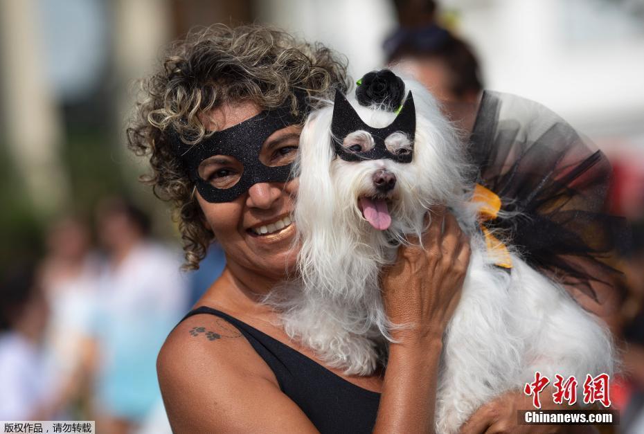 巴西狂欢季萌犬也来凑热闹 里约举办“狗狗嘉年华”