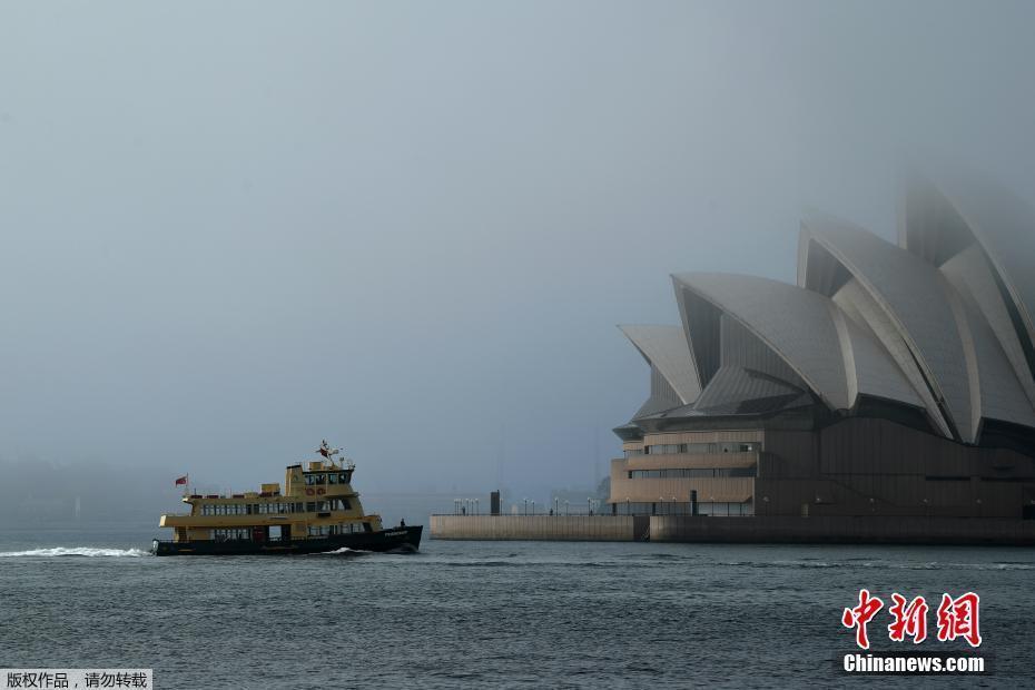 悉尼港迎大霧天氣 海港大橋晨霧籠罩若隱若現(xiàn)