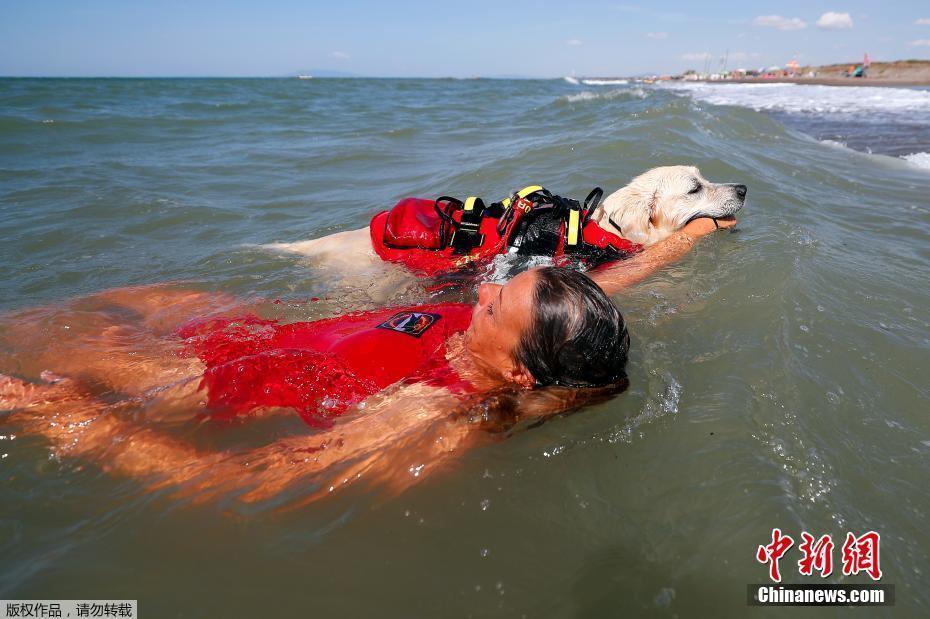 意大利海岸搜救隊(duì)成立“女團(tuán)” 帶著狗狗保護(hù)游客安全