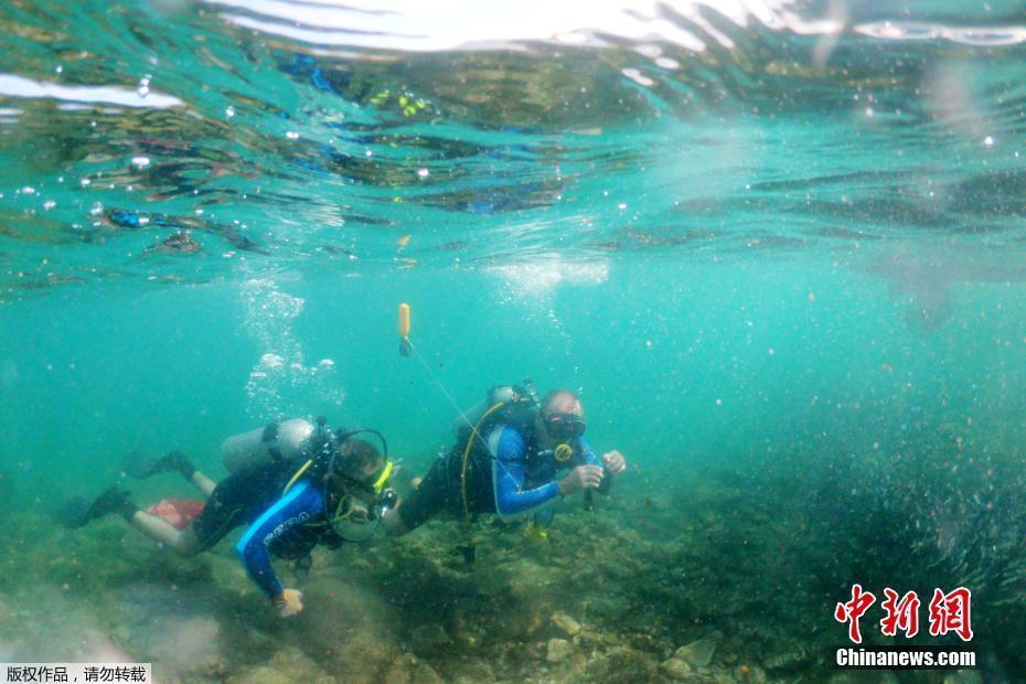 以色列截癱潛水員下水清理海中塑料垃圾