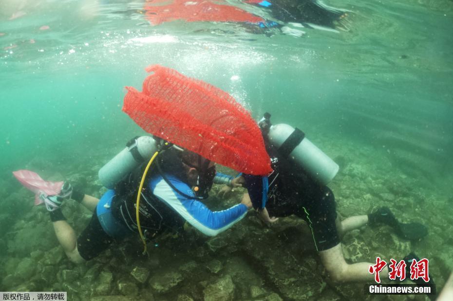 以色列截癱潛水員下水清理海中塑料垃圾