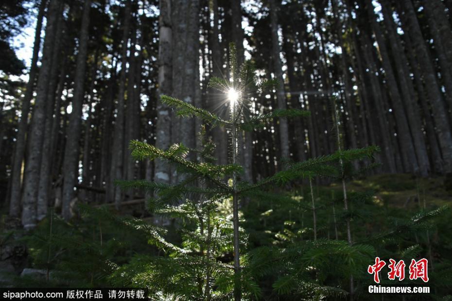 俄羅斯薩哈林島東南海岸 自然風(fēng)光廣闊迷人