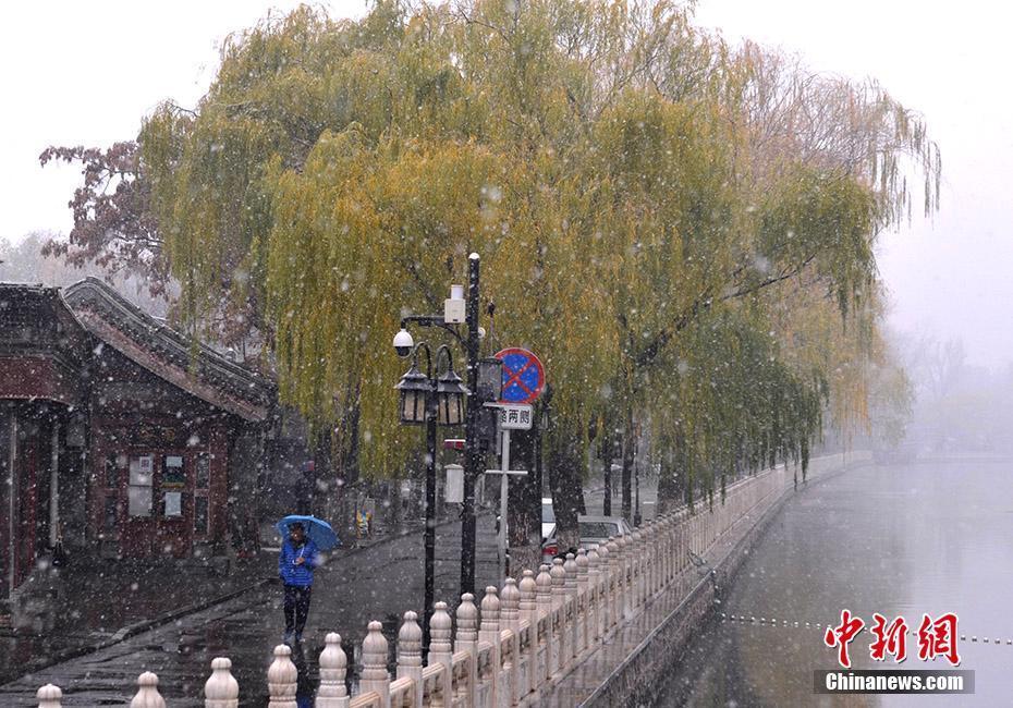 北京城区迎来2020入冬初雪