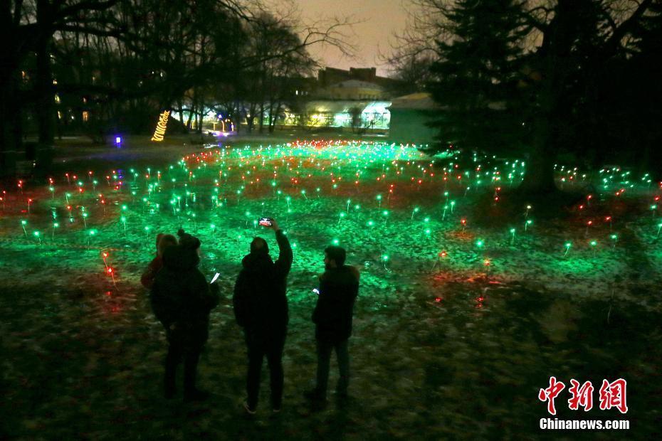 俄羅斯圣彼得堡植物園舉行多媒體燈光展 光影世界美輪美奐