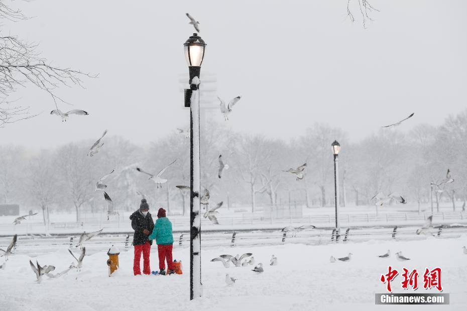 美國(guó)紐約持續(xù)降雪 市民公園玩雪