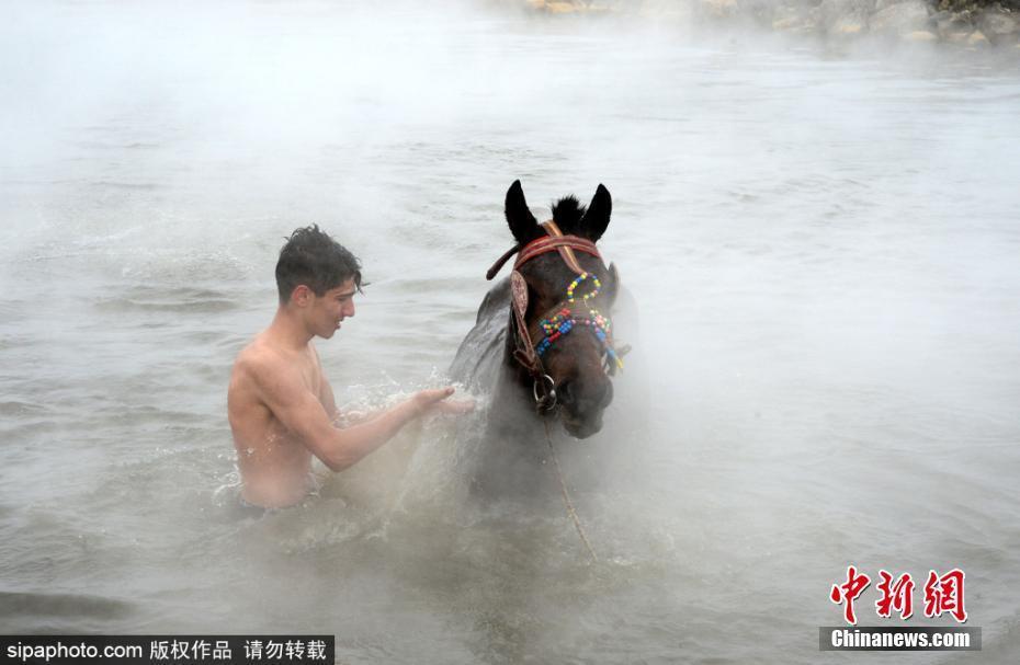 土耳其水牛飼養(yǎng)員與水牛歡樂“共浴” 畫面唯美