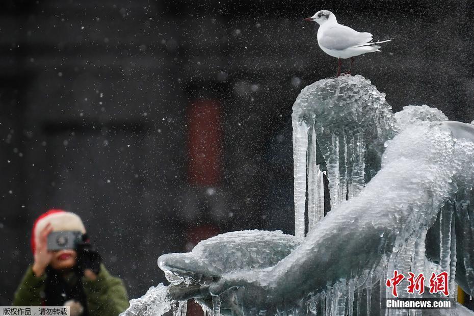 英國倫敦低溫降雪 雕塑被“冰封”畫面逗趣