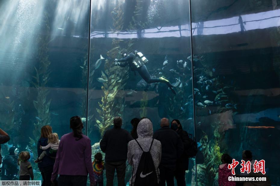 美國太平洋水族館重新對公眾開放