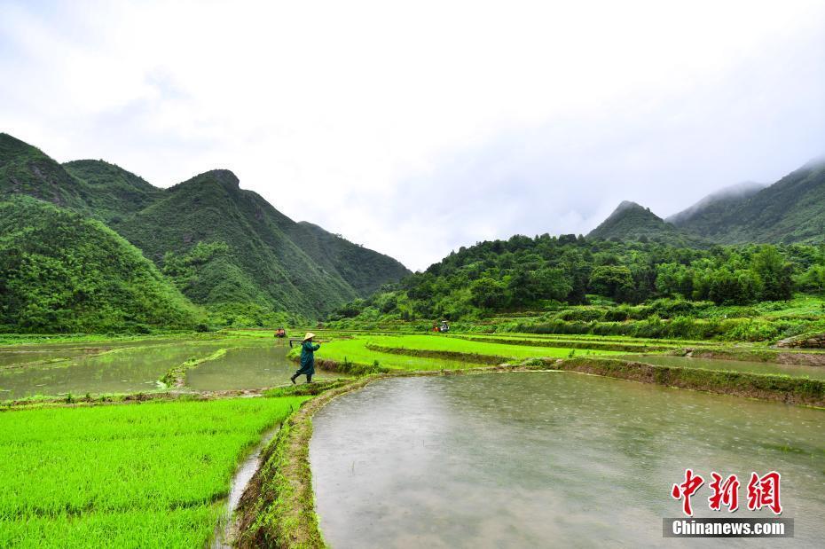 小滿節(jié)氣 湖南常寧農(nóng)事忙