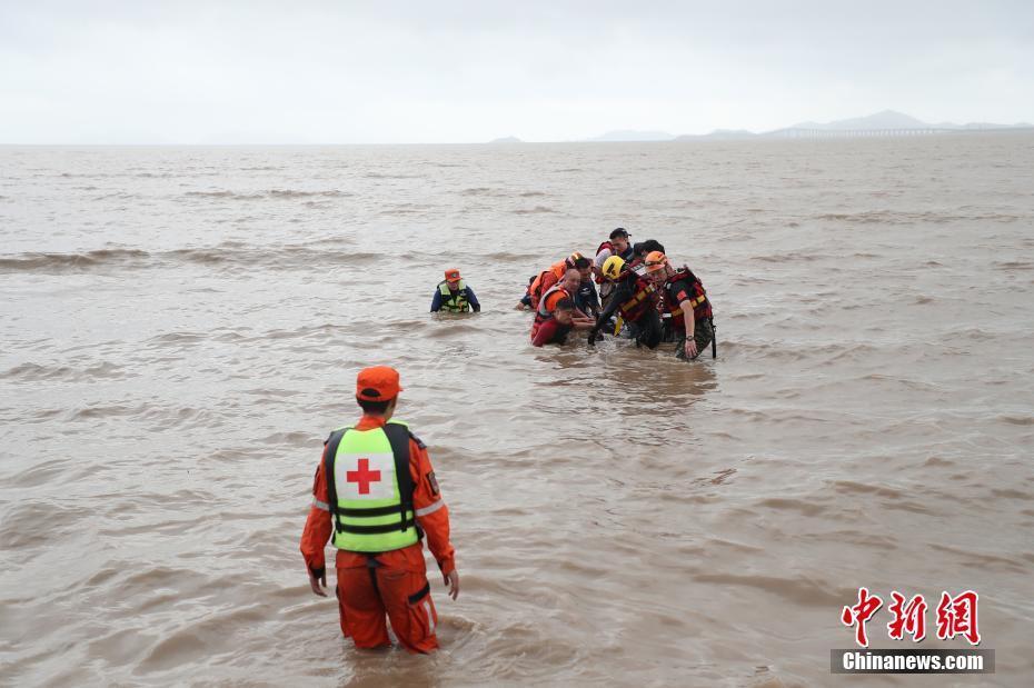 浙江臺州擱淺12頭瓜頭鯨 直擊救援現(xiàn)場