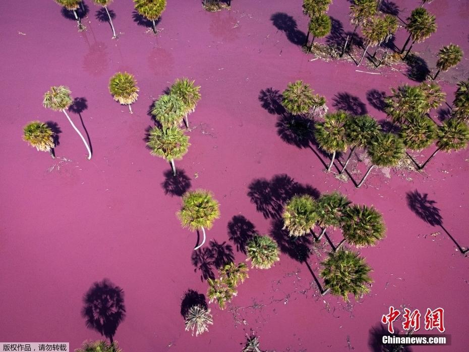 觸目驚心的“色彩” 巴拉圭工業(yè)廢水形成“粉湖”