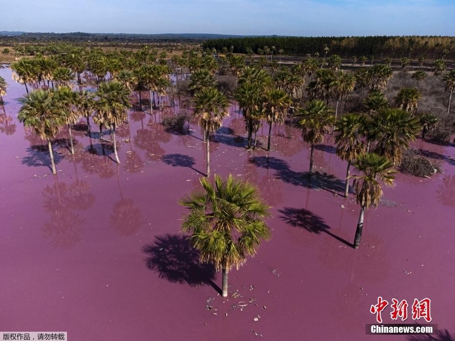 觸目驚心的“色彩” 巴拉圭工業(yè)廢水形成“粉湖”