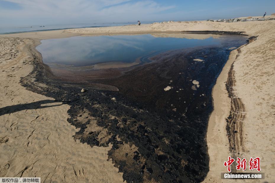 美國加州南部原油泄漏 海岸遭污染