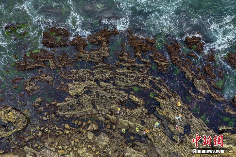 美國加州原油泄漏或因輸油管線老化 海洋污染持續