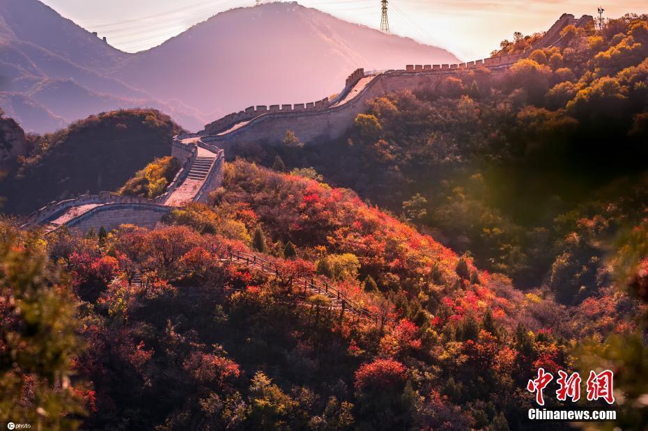 深秋季节 北京八达岭红叶谷美丽如画
