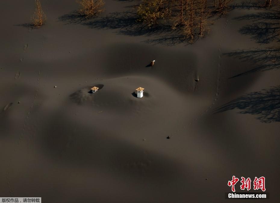 西班牙拉帕爾馬島房屋被火山灰覆蓋