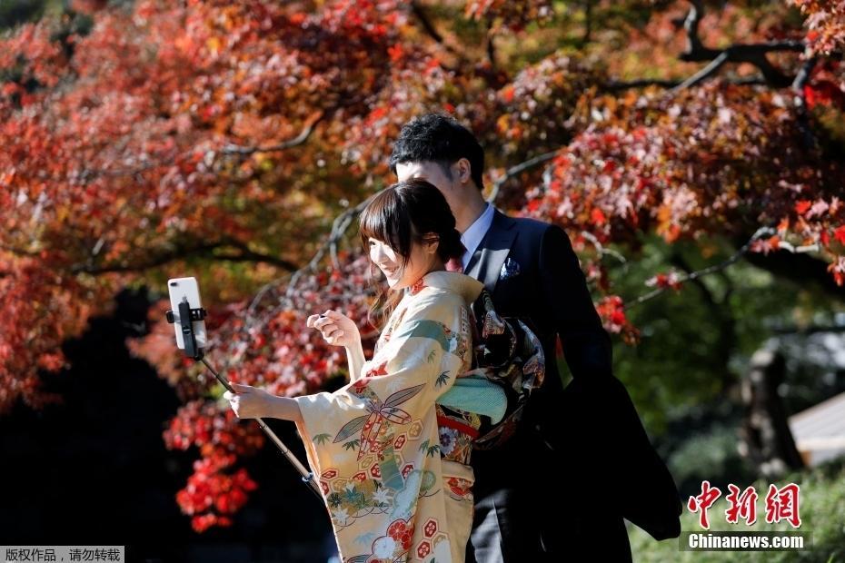 日本东京秋色浓郁 民众户外享受大自然的馈赠