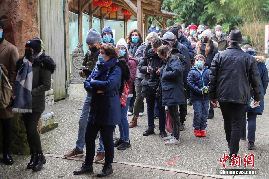 旅法大熊猫双胞胎幼崽“欢黎黎”“圆嘟嘟”首次与民众见面